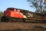 CN 5608